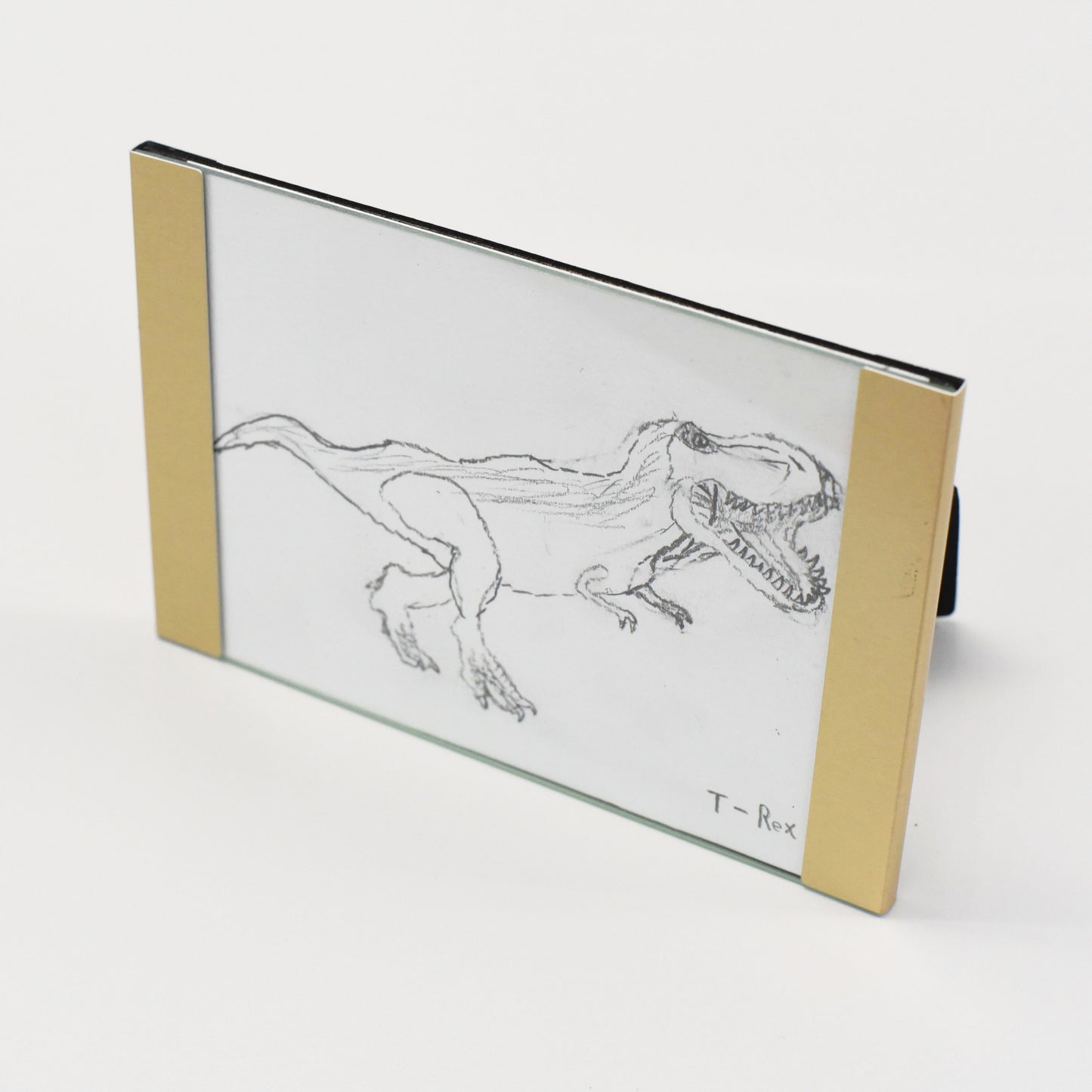 T-Rex / 絵(フレーム付き)